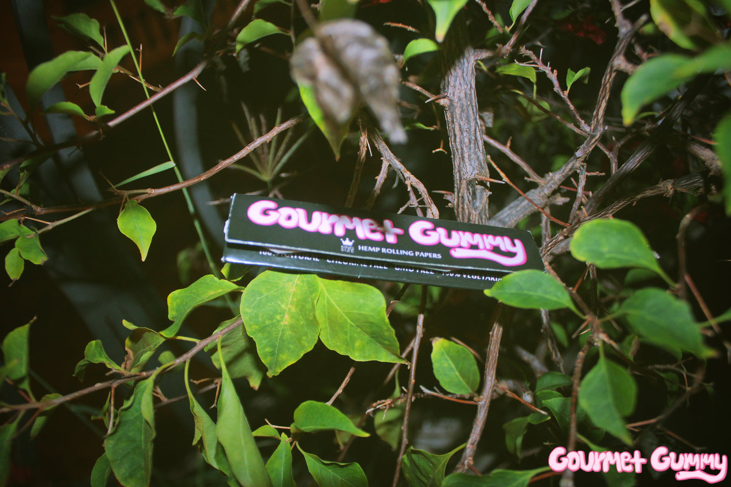 GourmetGummy Rolling Papers