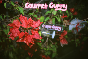 GourmetGummy Rolling Papers